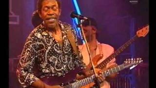 Luther Allison amp Bernard Allison  Life is a bitch [upl. by Auqinom]