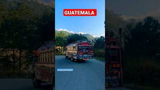 AUTOBUSES DE GUATEMALA feedshorts buses guatemala suscribete [upl. by Yecac]