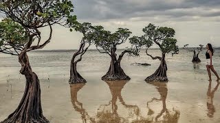 Pantai Walakiri Sumba [upl. by Kiyohara761]