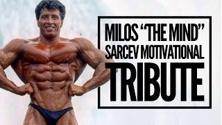 Milos The Mind Sarcev Motivational Tribute [upl. by Monie]