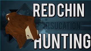 RSucation  Complete Red Chinchompa Hunting Guide 6399 Hunter Guide Old School Runescape [upl. by Elehcar819]