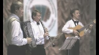 Карелофинская полька Finnish polka [upl. by Arraeit]