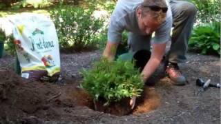 How to Prepare Soil for Planting Grass Seed  Natures Finest Seed [upl. by Nylhtak863]