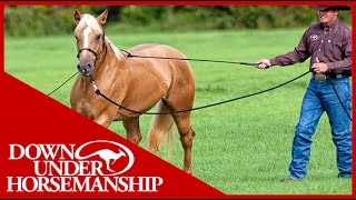 Clinton Anderson Training a Rescue Horse Part 7  Downunder Horsemanship [upl. by Dahsraf712]