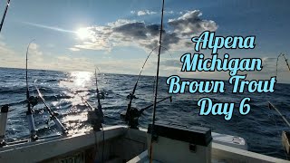 Alpena Brown Trout Day 6 Michigan Fishing fun [upl. by Plafker]