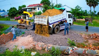 Start a New Project Filling Over by Bulldozer D20 amp 5Ton Trucks Pushing Soil to Delete Drain [upl. by Litch]