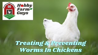 Treating amp Preventing Worms In Your Chickens [upl. by Ehcor]