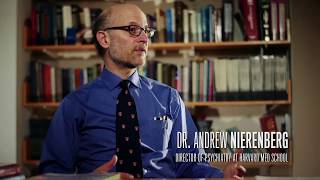 Dr Nierenberg Describes What Its Like Living With Bipolar Disorder [upl. by Chavez775]