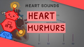 Cardiology for Beginners Basics of Heart Sounds and Murmurs with examples [upl. by Assirod997]