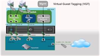 Using VLANs to Isolate Traffic [upl. by Oicnedif]