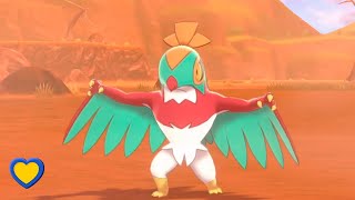 HOW TO GET Hawlucha in Pokémon Sword and Shield [upl. by Nnyltak617]