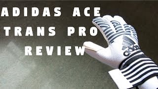 Adidas Ace Trans Pro Dust Storm Goalkeeper Gloves  Review  Unboxing [upl. by Halimaj735]