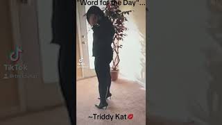 triddykat [upl. by Petite]