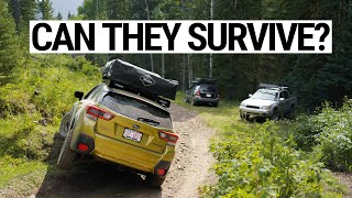 3 Offroad Subarus Take on the Trail [upl. by Cleavland]