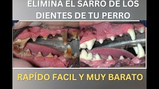 ELIMINA EL SARRO DE TU PERRO FACIL RAPIDO Y MUY BARATO [upl. by Aihsema]