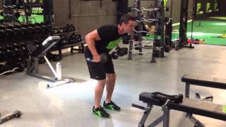 2 Arm Dumbbell Tricep Kickback With Twist [upl. by Chaudoin]