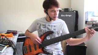 MTD Kingston Saratoga Fretless 5 [upl. by Duane214]