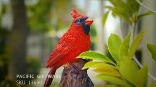 Red Cardinal Bird 13630 [upl. by Tremml933]