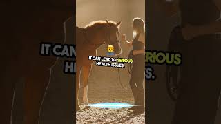 Why Horses Cant Vomit The Truth growth factsknowledge youtubeshorts viralshorts viralshort [upl. by Naek30]