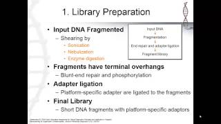 Next Generational Sequencing Basic Steps of NGS 3 [upl. by Aubert]