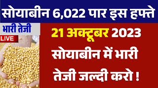 22 अक्टूबर 2023 आज सोयाबीन में भारी तेजी Soyabean ka bhavSoyaka rateSoyabean mandi bhav aaj ka bhav [upl. by Retsub336]