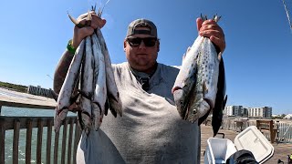 springmaid pier myrtle beach spanish mackerel spring run 4824 [upl. by Aitel77]