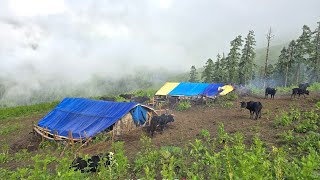 Organic Nepali mountain Village Life in Nepal  most Peaceful and Relaxing Village Life  Real Life [upl. by Libove]