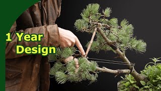 Rebuild a Japanese White Pine Bonsai Pruning Wiring and repotting [upl. by Valenba]