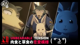 Hal amp Legoshi Will They or Wont They NSFW  BEASTARS  Netflix Anime [upl. by Opiak]