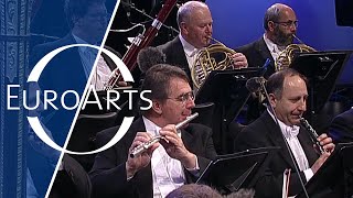 Johann Strauss  An der schönen blauen Donau Waltz Vienna Philharmonic Orchestra Zubin Mehta [upl. by Isabelita]