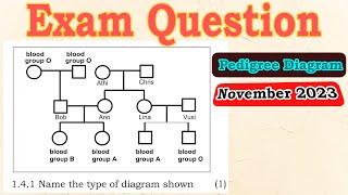 Exam Question  Genetics  Life Science grade 12  A pedigree diagram [upl. by Aymer]