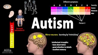 Autism Spectrum Animation [upl. by Frager]