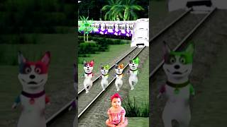 Cute dogs baby stop train by dancetrendingcutetrendingshorts [upl. by Lemhar]