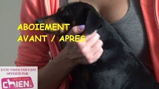 Vidéo 66 Education du chien qui aboie à la maison par Eric Tramson [upl. by Hsiwhem417]