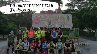 The Longest Forest Trail In Penang [upl. by Llennoj]