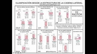 Clasificación de los aminoácidos según cadena R y polaridad  Parte II [upl. by Lirba]