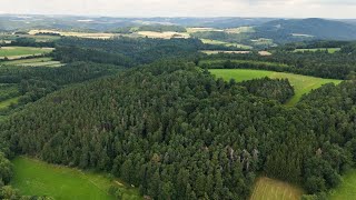 Nachhaltige Forstwirtschaft und Biodiversität in Niederösterreichs Wäldern [upl. by Pennebaker606]