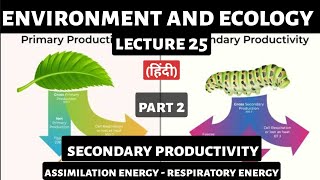 Secondary Ecological Productivity  Environment amp Ecology  UPSC Preparation Detailed Lecture [upl. by Aridnere]