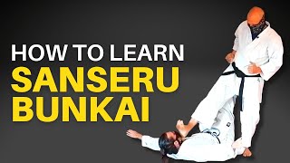 Basic Bunkai for Sanseru Goju Ryu [upl. by Naitsabas]