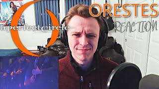 BRILLIANT 🔥 A PERFECT CIRCLE  ORESTES LIVE REACTION [upl. by Jolyn109]