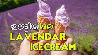 OOTTYS LAVENDAR ICE CREAM❗Foodie Sha [upl. by Ahsemat463]