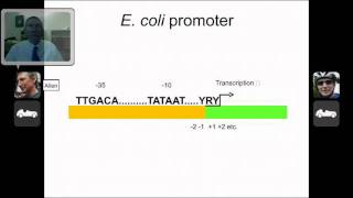 Prokaryotic Transcription and Promoters [upl. by Acirretahs]