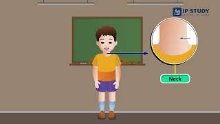 My Body A Fun and Educational Video for UKG Kids [upl. by Euqinorev]