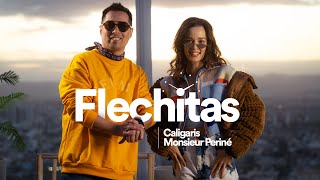 Flechitas  Los Caligaris amp Monsieur Periné Video Oficial [upl. by Euqinim]