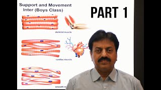 Skeletal Muscle Organization In Sindhi  Inter Biology  Sum Academy online classes [upl. by Ennovyhs557]