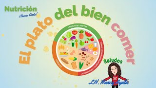 El plato del bien comer nutrición y alimentación saludable para niños aprende juega y diviértete [upl. by Leziar]