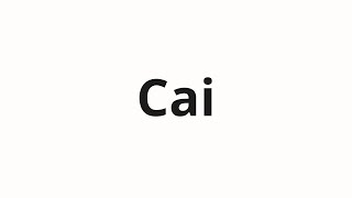 How to pronounce Cai [upl. by Aneliram]