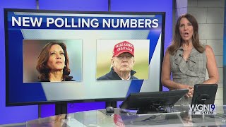 Marquette Law School National Poll Harris Leading Trump in Presidential Election [upl. by Cyna]