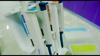 How to use pipette correctly – a short stepbystep introduction into proper pipetting [upl. by Jardena]