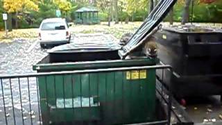 Dumpster full of racoons [upl. by Ciryl791]